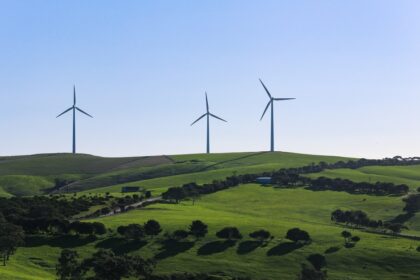 Australian wind farm representing renewable energy project execution